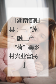 湖南衡阳县：一“莲”融三产 “荷”美乡村兴业富民