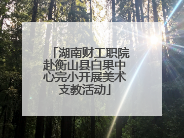 湖南财工职院赴衡山县白果中心完小开展美术支教活动