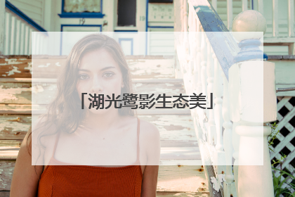 湖光鹭影生态美
