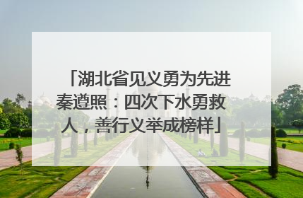 湖北省见义勇为先进秦遵照：四次下水勇救人，善行义举成榜样