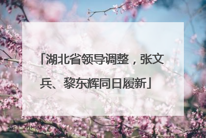 湖北省领导调整，张文兵、黎东辉同日履新