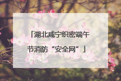 湖北咸宁织密端午节消防“安全网”