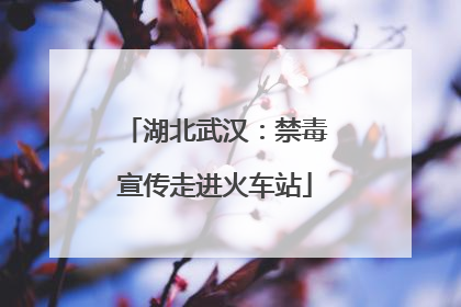 湖北武汉：禁毒宣传走进火车站