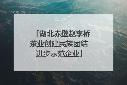 湖北赤壁赵李桥茶业创建民族团结进步示范企业