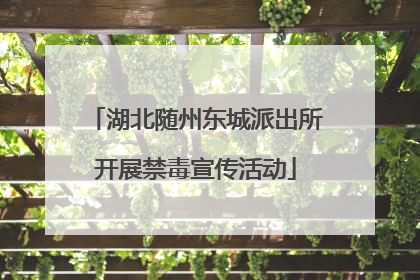 湖北随州东城派出所开展禁毒宣传活动