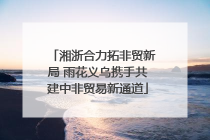 湘浙合力拓非贸新局 雨花义乌携手共建中非贸易新通道