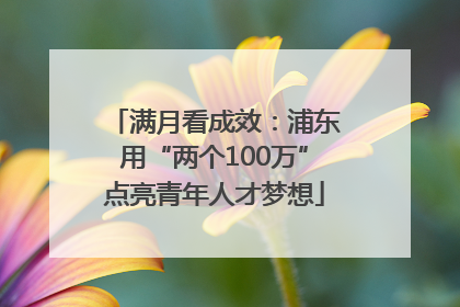 满月看成效：浦东用“两个100万”点亮青年人才梦想