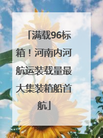 满载96标箱！河南内河航运装载量最大集装箱船首航