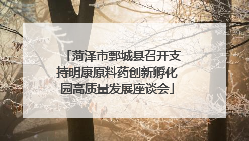 菏泽市鄄城县召开支持明康原料药创新孵化园高质量发展座谈会