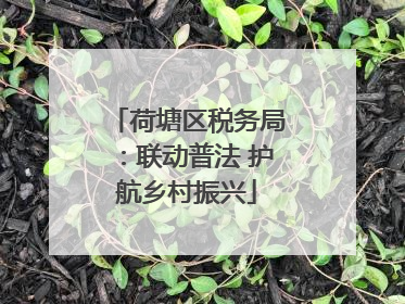 荷塘区税务局：联动普法 护航乡村振兴