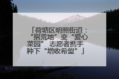 荷塘区明照街道：“撂荒地”变“爱心菜园” 志愿者携手种下“增收希望”