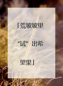荒坡坡里“试”出希望果