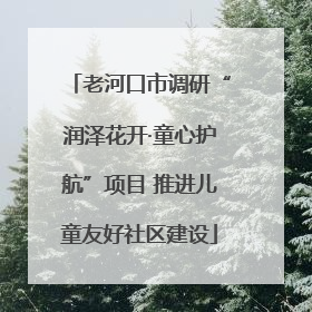 老河口市调研“润泽花开·童心护航”项目 推进儿童友好社区建设