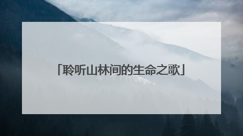 聆听山林间的生命之歌