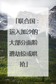 联合国：运入加沙的大部分面粉遭劫掠或哄抢
