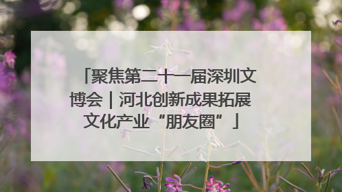 聚焦第二十一届深圳文博会｜河北创新成果拓展文化产业“朋友圈”