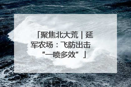 聚焦北大荒｜延军农场：飞防出击 “一喷多效”