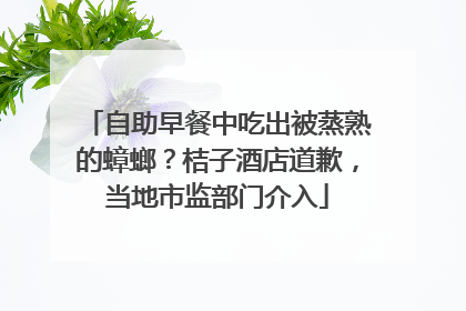 自助早餐中吃出被蒸熟的蟑螂？桔子酒店道歉，当地市监部门介入
