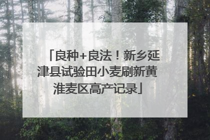 良种+良法！新乡延津县试验田小麦刷新黄淮麦区高产记录