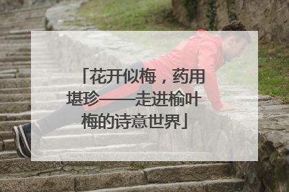 花开似梅，药用堪珍——走进榆叶梅的诗意世界