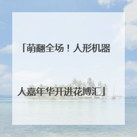 萌翻全场！人形机器人嘉年华开进花博汇