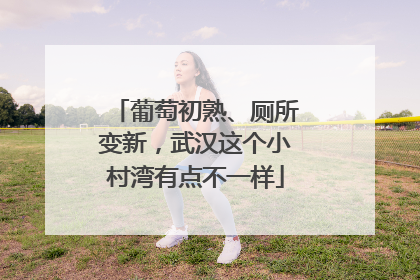 葡萄初熟、厕所变新，武汉这个小村湾有点不一样