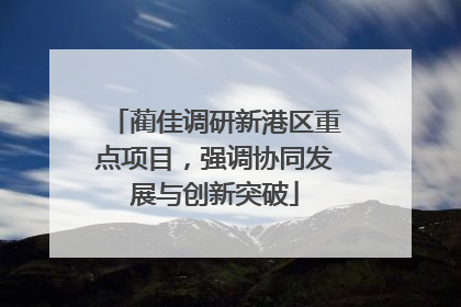 蔺佳调研新港区重点项目，强调协同发展与创新突破