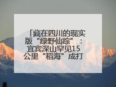 藏在四川的现实版“绿野仙踪”：宜宾深山罕见15公里“稻海”成打卡新地标