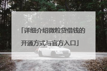 详细介绍微粒贷借钱的开通方式与官方入口