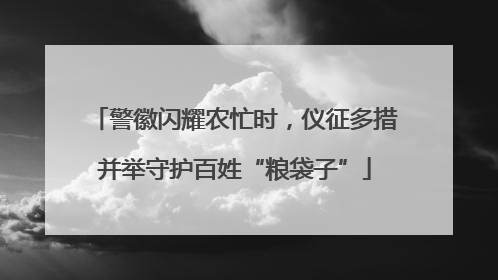 警徽闪耀农忙时，仪征多措并举守护百姓“粮袋子”