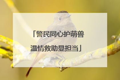 警民同心护萌兽 温情救助显担当