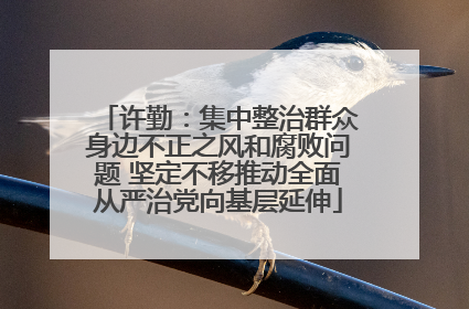 许勤：集中整治群众身边不正之风和腐败问题 坚定不移推动全面从严治党向基层延伸