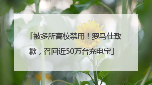 被多所高校禁用！罗马仕致歉，召回近50万台充电宝