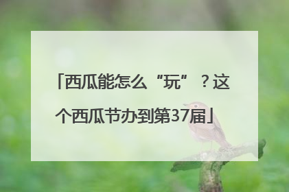 西瓜能怎么“玩”？这个西瓜节办到第37届