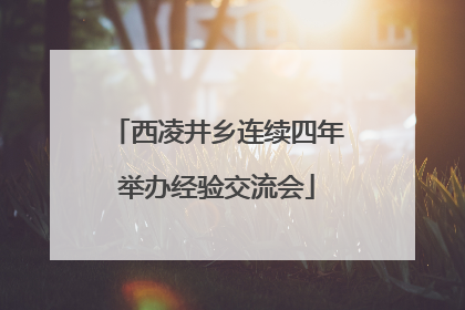 西凌井乡连续四年举办经验交流会
