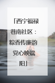 西宁福禄巷南社区：粽香传廉韵 党心映端阳