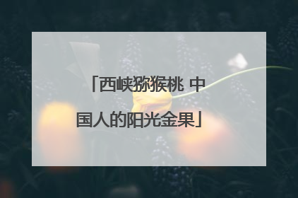 西峡猕猴桃 中国人的阳光金果
