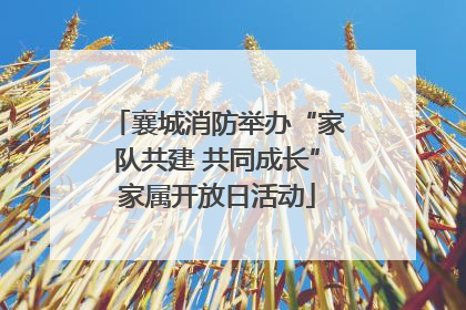 襄城消防举办“家队共建 共同成长”家属开放日活动