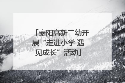 襄阳高新二幼开展“走进小学 遇见成长”活动