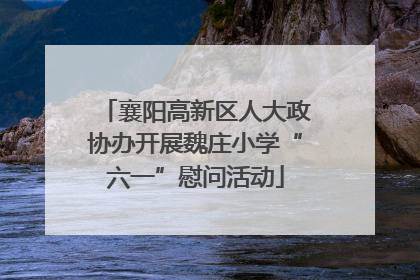 襄阳高新区人大政协办开展魏庄小学“六一”慰问活动
