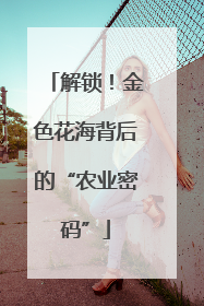 解锁！金色花海背后的“农业密码”