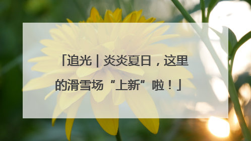 追光｜炎炎夏日，这里的滑雪场“上新”啦！