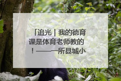 追光｜我的德育课是体育老师教的！——一所县城小学的思政课改革