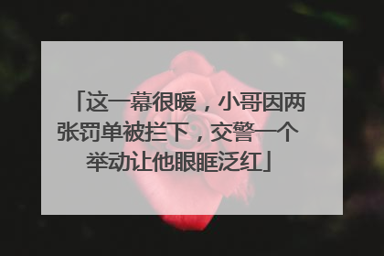 这一幕很暖，小哥因两张罚单被拦下，交警一个举动让他眼眶泛红