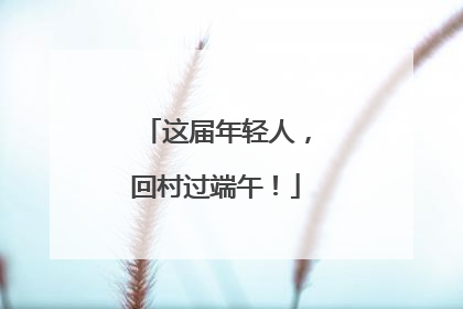 这届年轻人，回村过端午！