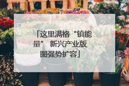 这里满格“镇能量” 新兴产业版图强势扩容