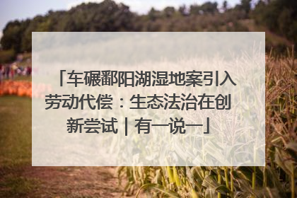 车碾鄱阳湖湿地案引入劳动代偿：生态法治在创新尝试｜有一说一