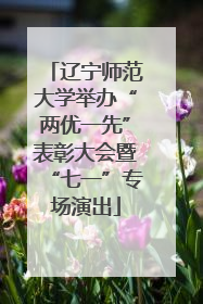 辽宁师范大学举办“两优一先”表彰大会暨“七一”专场演出
