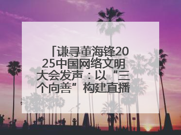 谦寻董海锋2025中国网络文明大会发声：以“三个向善”构建直播电商善意长河