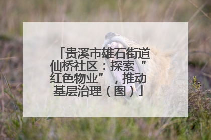 贵溪市雄石街道仙桥社区：探索“红色物业”，推动基层治理（图）